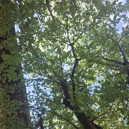 Hana * Bihać